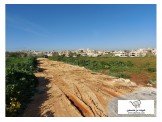 نمرة في جابريات  Image 2