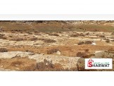قطعة أرض للبيع في الظاهرية  Image 1