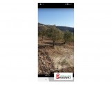 ارض فى ابو شوك  Image 1