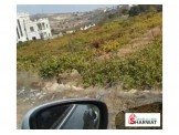 ارض للبيع في اجمل مناطق حلحول عين ايوب/خلة زماعرة Image 2
