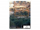 قطعة ارض للبيع Image 1