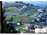 قطعة أرض في قرية تل داخل الهيكلي  Image 1