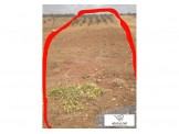 ارض 2 دونم و200 متر صالحة لكافة الاعمال Image 1