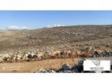 قطع اراضي مفروزة- روجيب Image 1