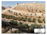 ١٥٠٠م جناتا  Image 1