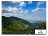 ارض جبلية 35 دونم في جبع جنين لمشاريع الاستثمار  Image 1