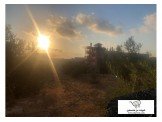أرض مسورةقرب مسجد شرق ذنابة قرب الشارع الرئيسي .  Image 1