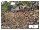 ارض3200 متر Image 1