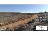 قطع اراضي مفروزة- روجيب Image 2