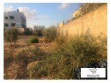 أرض مسورةقرب مسجد شرق ذنابة قرب الشارع الرئيسي .  Image 2