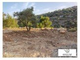 ارض3200 متر Image 2