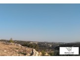 أرض ٥٧٠ متر مربعة المساحة  Image 2
