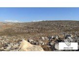 قطع اراضي مفروزة- روجيب Image 3
