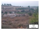 أرض دونم و٤٣٠ متر في ارنبا مربعة المساحة طابو Image 3