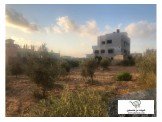 أرض مسورةقرب مسجد شرق ذنابة قرب الشارع الرئيسي .  Image 3