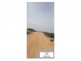 نمرة ارض  Image 3