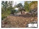 ارض3200 متر Image 3