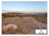 ارض 4.5 دونم تبعد 6 كم جنوب دوار التحرير (الخليل) Image 3