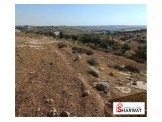 ارض للبيع دورا وادي كلاب مساحة 4650 متر Image 1