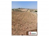 ارض 3 دونمات صالحة للبناء وكافة الاعمال  Image 1