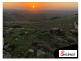 ارض ٥ دونم مطلة وجميلة في حلحول جالا Image 3