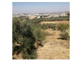 قطعة أرض للبيع مطلة على أراضي فلسطين Image 2