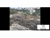 ارض ٥٣٣م ابو قش طريق ريف Image 1