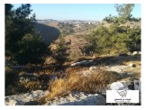 1700م للبيع في الصرة طابو  Image 1