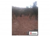 ارض 600 متر صالحة لكافة الاعمال Image 1