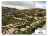 ارض ١٥٠٠ م خرسا / مع المالك مباشرة Image 2