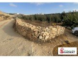 ارض 1.5 دونم معمرة مشجرة مطلة في حلحول Image 1