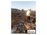 ارض 10 دونم صالحة للبناء على شارع فرعي Image 2