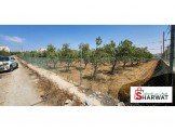 قطعة بمساحة 5100 متر طابو في حي فلل سنجر Image 3