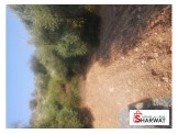 ارض للبيع صوريف ابو شوك مساحة الارض دونم تصنيف الا Image 1