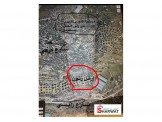 ارض في دورا الخليل مساحة 9500 متر مربع على شارعين  Image 1