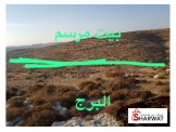 ارض للبيع دورا بيت مرسم 9 دونم الارض وسط جبل كاشفه Image 1