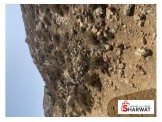 1دنم  Image 1