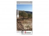 دونم ارض فى صوريف ابو شوم  Image 1