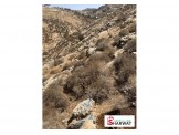 ١٠٣٠متر على شارع فرعي  Image 2