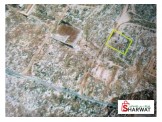 دورا كريسه  Image 2