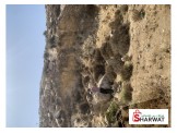 1دنم  Image 3