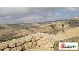 عشرة نمر أراضي للبيع بمساحات متعدده(في منطقة بيت ك Image 1