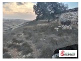 قطه ارض راس القاضي Image 1