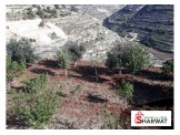قطعة أرض مميزة ومطلة ومعمرة ورائعة جدا جدا Image 2