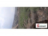 ارض للبيع الخليل بيت اولا 10 دونم ويمكن بيع جزء  Image 3