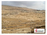 ارض 30 دونم بالظاهرية بسعر مغري Image 2