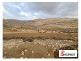 ارض 30 دونم بالظاهرية بسعر مغري Image 3