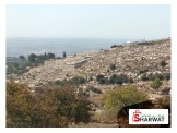 أرض دونم و٤٥٠ متر في ارنبا مربعة المساحة معمرة  Image 3