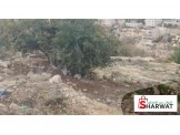 قطعة أرض للبيع في منطقة عيصى Image 1
