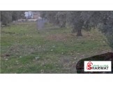 نمرة أرض مميزة للبيع في منطقة لوزا جبل عمرو Image 1